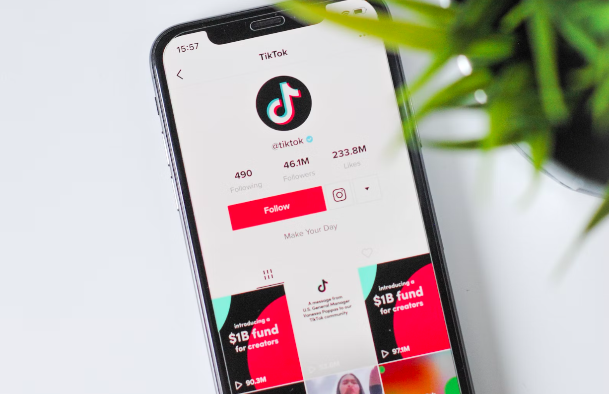 5 Reasons Why TikTok is Banned